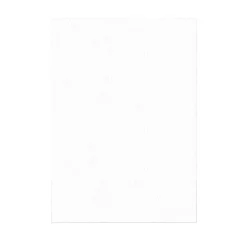 8 X 100 Feuilles azyme striées 60 x 50 cm 0,3 mm (x 800)-Cerf Dellier Hot