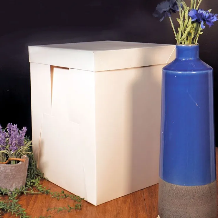 Boîte pâtissière blanche spéciale gâteau haut 40 cm-Cerf Dellier