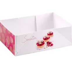 Boîtes petits-fours Pauline 22 x 14 cm Hauteur 6 cm (x 100)-Cerf Dellier Outlet
