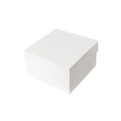 Boîtes pâtissières blanches 20x20 cm Hauteur 20 cm (x 10)-Cerf Dellier
