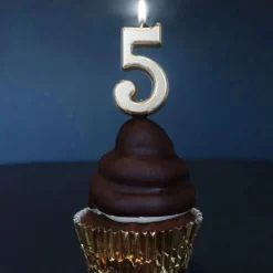 Bougie anniversaire dorée chiffre 5-Cerf Dellier