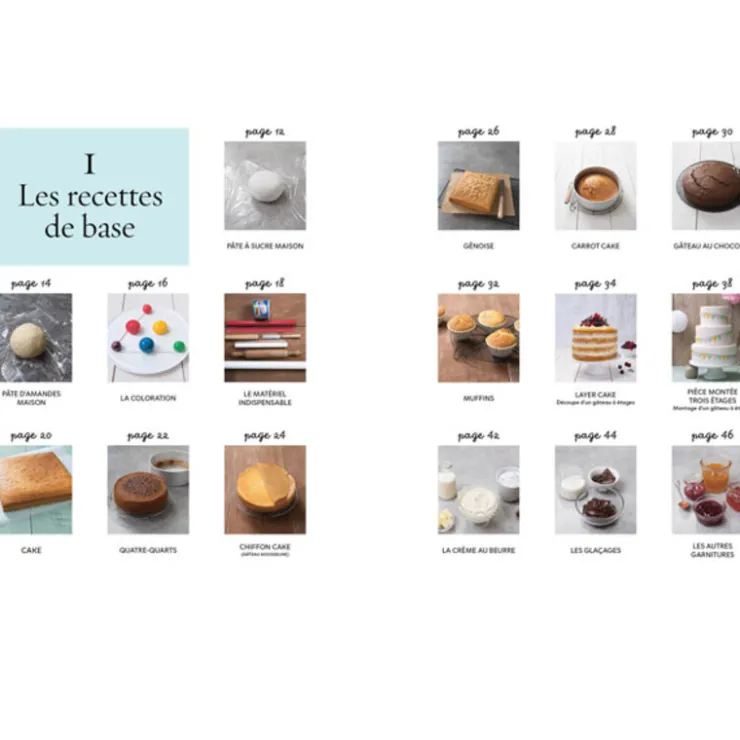 Cake design premiers pas - Sally François-Cerf Dellier New
