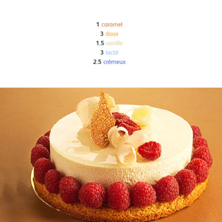 Chocolat Blanc Satin 29 % 5 Kg-Cerf Dellier Hot