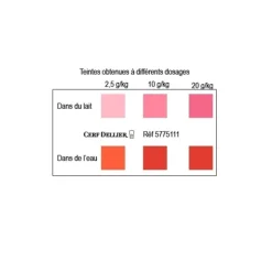 Colorant poudre alimentaire Rouge Fraise 100 g-Cerf Dellier Clearance