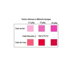 Colorant poudre alimentaire Rouge Framboise 100 g-Cerf Dellier New