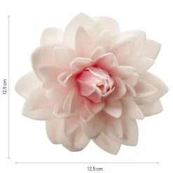 Dahlia rose géant azyme-Cerf Dellier Discount