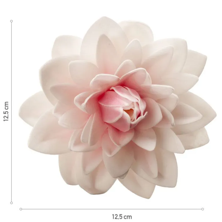 Dahlia rose géant azyme-Cerf Dellier Discount
