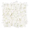 Décors comestibles crânes blancs Wilton-Cerf Dellier New