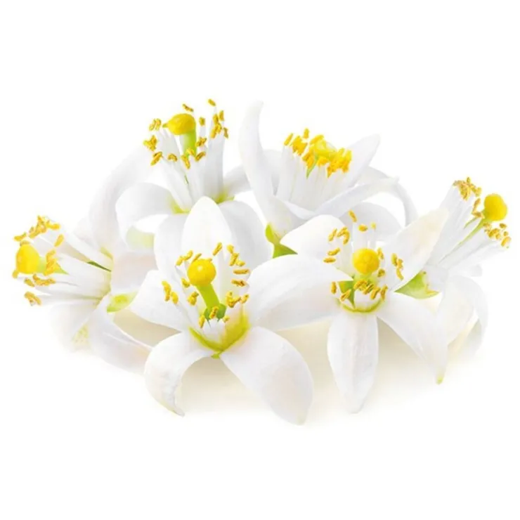 Extrait de fleur d'oranger 50 ml-Cerf Dellier