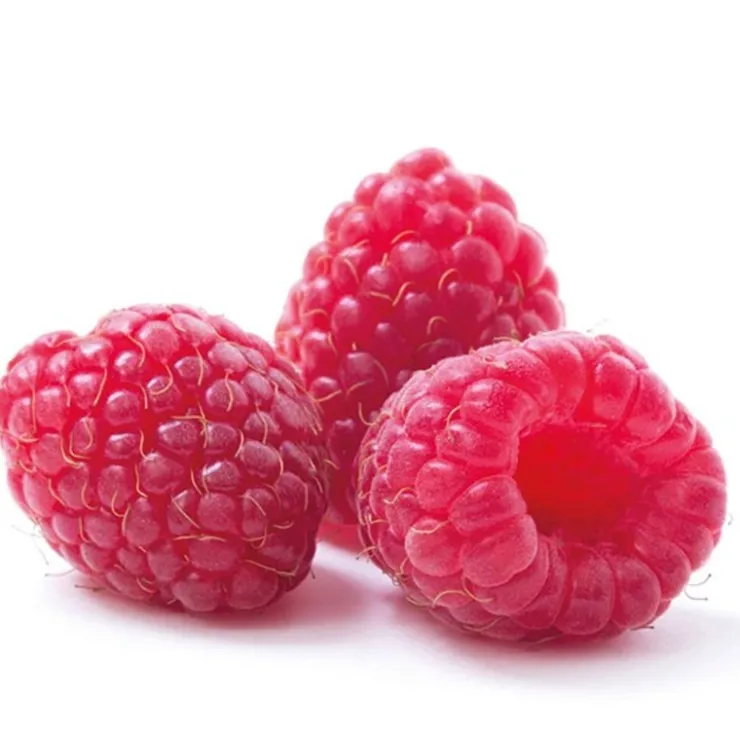 Extrait de framboise 20% 50 ml-Cerf Dellier New