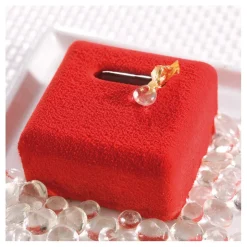 Flexipan GN 1/1 plaque de 15 écrin 6,5x6,5x3,5 cm-Cerf Dellier Clearance