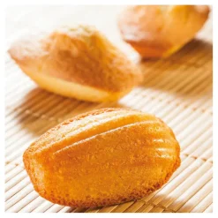 Flexipan 60x40 plaque de 40 madeleines 7,8x4,7 cm-Cerf Dellier Outlet