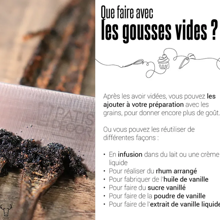 Gousse de Vanille Tahiti (x2)-Cerf Dellier Online