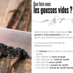 Gousses de vanille Bio (x2)-Cerf Dellier Sale