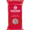 Gumpaste Rouge Oeillet Renshaw 250 g-Cerf Dellier Sale