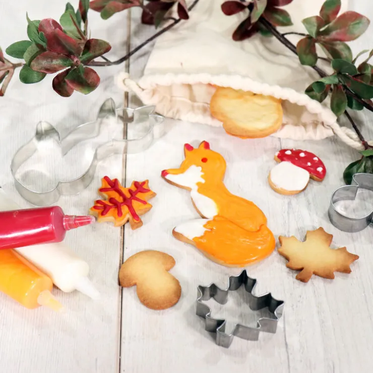 Kit biscuits forêt - DDM 05/24-Cerf Dellier Online