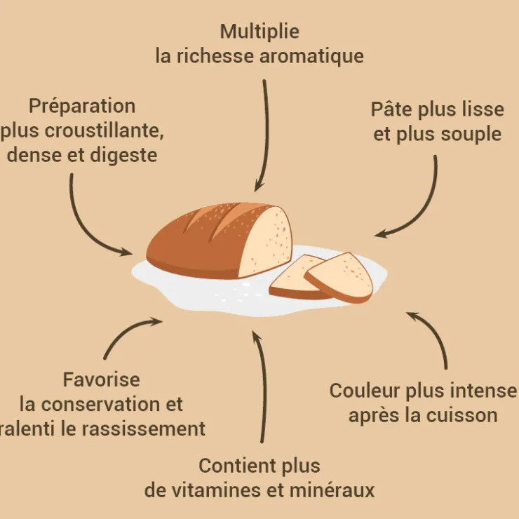 Levain de seigle 150 g-Cerf Dellier Outlet