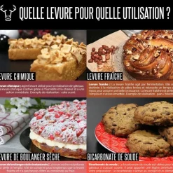 Levure de boulanger sèche instantanée 300 g-Cerf Dellier New