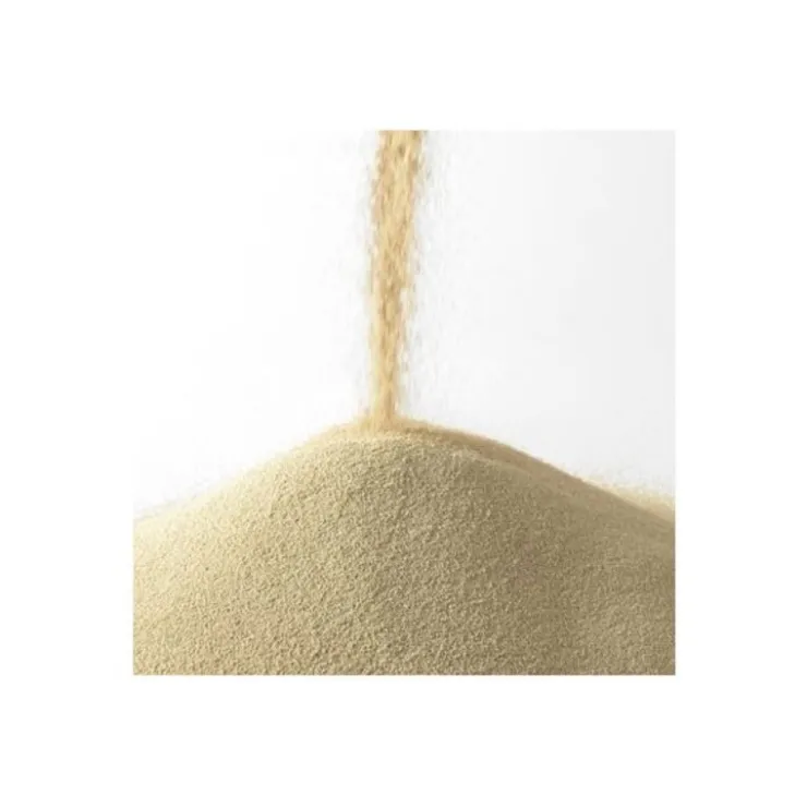 Levure sèche instantanée Saf-Instant 125 g-Cerf Dellier Outlet