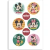 Mini disques azyme Mickey Minnie (x6)-Cerf Dellier Best