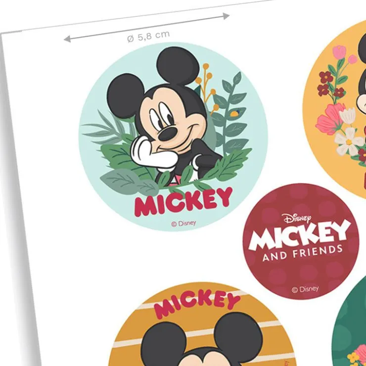 Mini disques azyme Mickey Minnie (x6)-Cerf Dellier Best