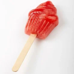Moule à esquimaux silicone Cupcake + 50 bâtons-Cerf Dellier New