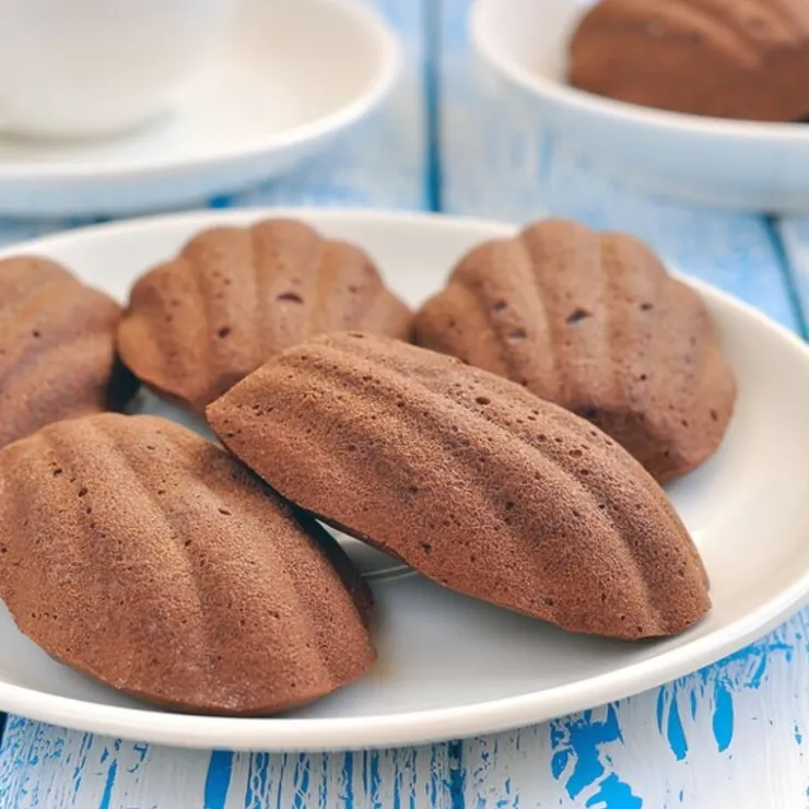Moule 20 mini-madeleines Gobel-Cerf Dellier Hot