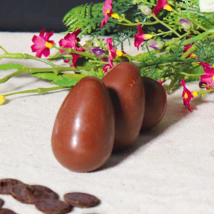 Moule chocolat en 3 parties Œufs lisses-Cerf Dellier Clearance