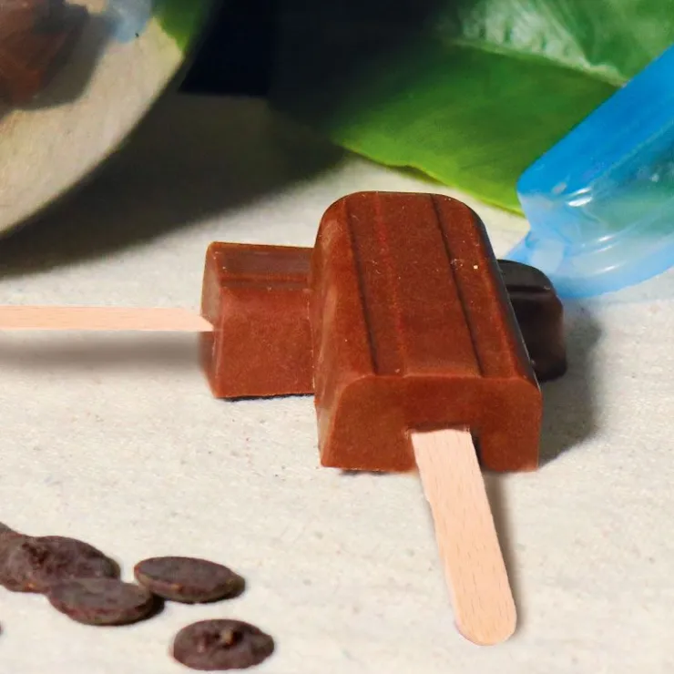 Moule chocolat en 3 parties glaces esquimaux-Cerf Dellier Sale