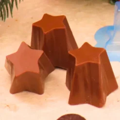 Moule chocolat en 3 parties 8 coupes étoile-Cerf Dellier New