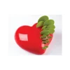 Moule silicone Passion Pavoni-Cerf Dellier Online