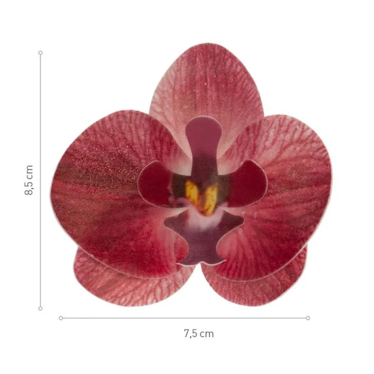 Orchidées rouges azyme (x10)-Cerf Dellier Hot