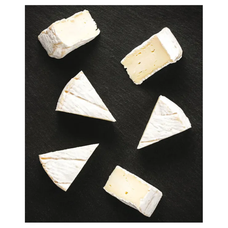 Prep Chef portionneur à fromages à fils 8 portions-Cerf Dellier Hot