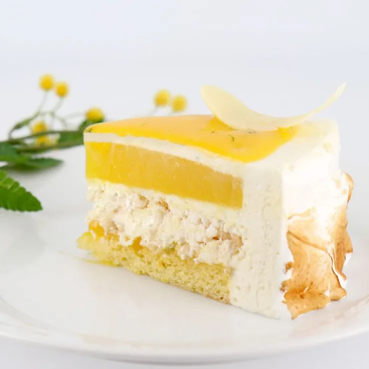 Préparation bavarois citron 100 g-Cerf Dellier Sale