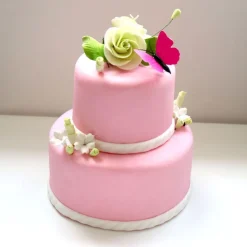 Pâte à sucre rose 1 kg - DDM 11/24-Cerf Dellier Clearance