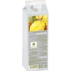 Purée d'ananas Ravifruit 1 kg-Cerf Dellier New