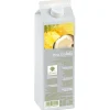 Purée de pina colada Ravifruit 1 kg-Cerf Dellier New