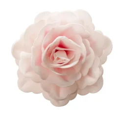 Rose rose géante azyme-Cerf Dellier Hot