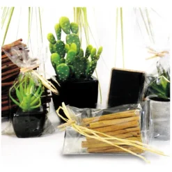 Sachets plats polypropylène - 100 x 200 mm (x100)-Cerf Dellier Best