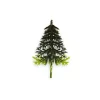 Sapin vert 2 tons sur pique (x100)-Cerf Dellier New
