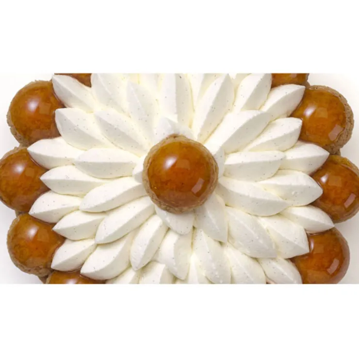 Sucre vanillé bio Prova 1 kg - DDM 03/24-Cerf Dellier Best