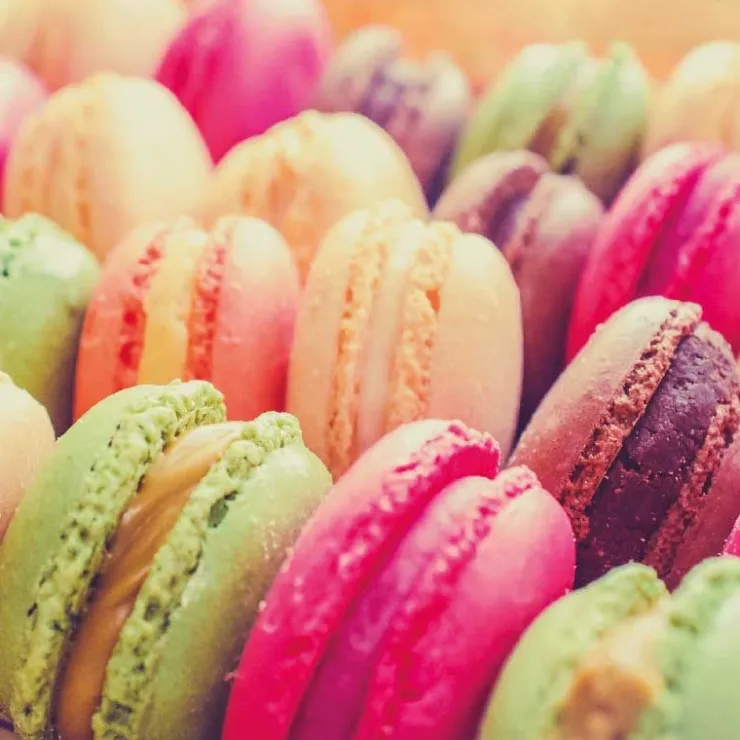 Tant pour tant 300 g-Cerf Dellier Discount
