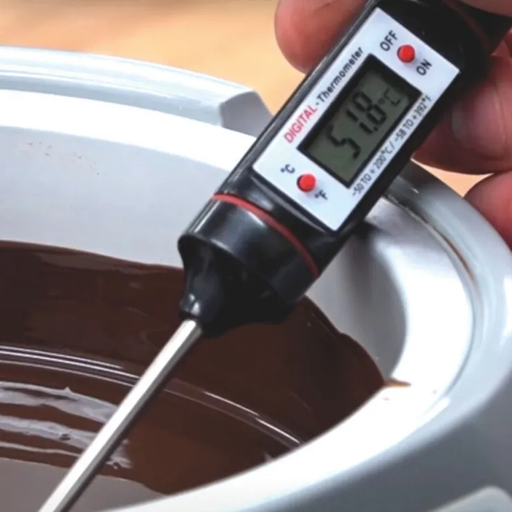 Thermomètre de cuisine digital électronique-Cerf Dellier Clearance
